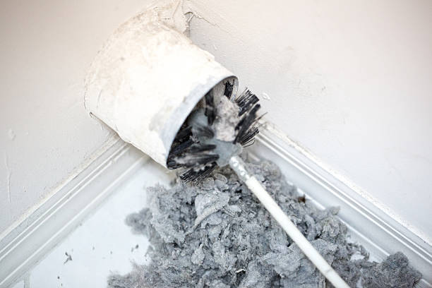 Best HVAC Maintenance and Cleaning  in Forest, OH